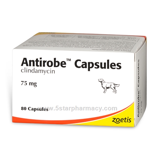 Antirobe Capsules (Clindamycin) 75mg 80 Capsules/Pack